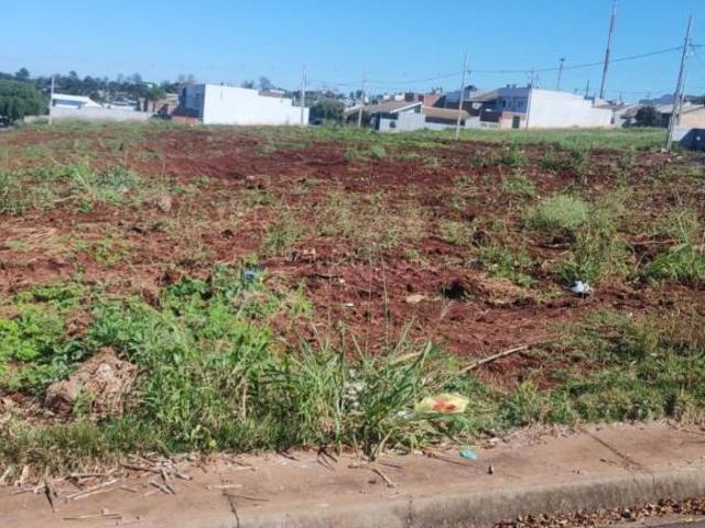 Terreno venda em Região Geográfica Imediata de Maringá, Paiçandu