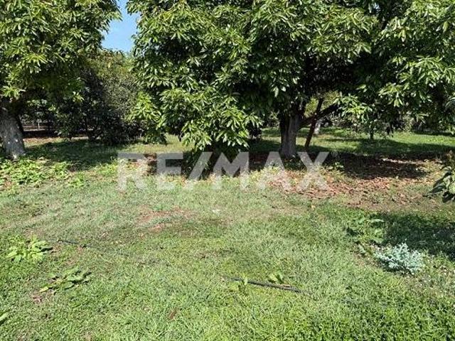 Terreno en renta en Uruapan, Michoacán