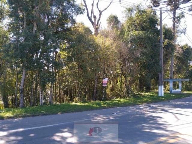 Terreno venda em Região Geográfica Imediata de Curitiba, Região Metropolitana de Curitiba
