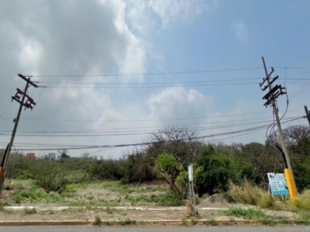 Terreno en renta en Alvarado, Veracruz