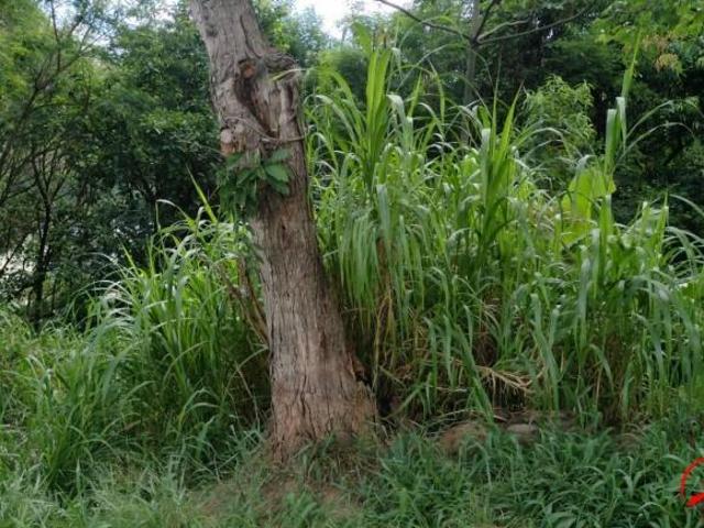 Terreno venda em Cohab I, Carapicuíba
