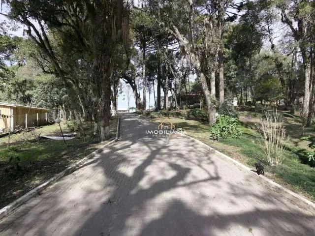 Terreno aluguel em Região Geográfica Imediata de Curitiba, Região Metropolitana de Curitiba