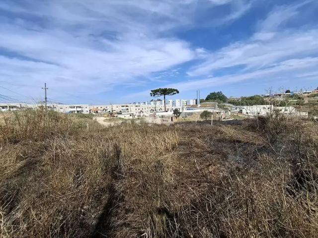 Terreno aluguel em Região Geográfica Imediata de Curitiba, Região Metropolitana de Curitiba