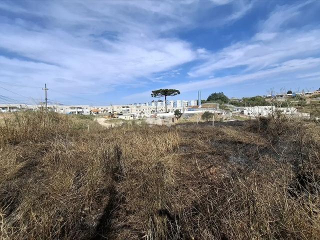 Terreno aluguel em Região Geográfica Imediata de Curitiba, Região Metropolitana de Curitiba