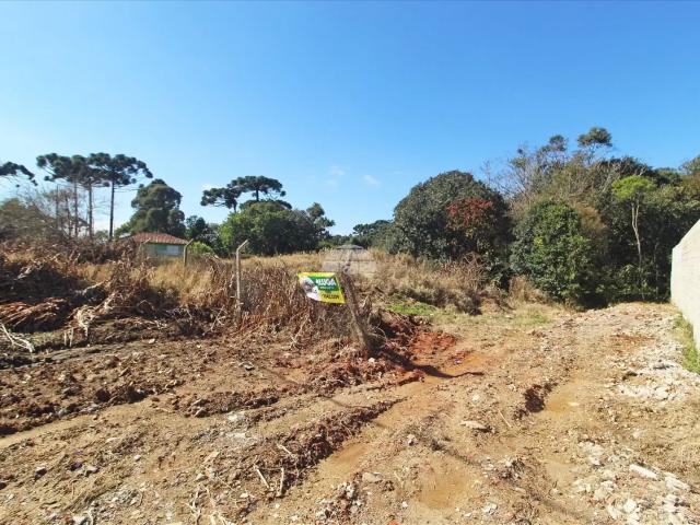 Terreno aluguel em Região Geográfica Imediata de Curitiba, Região Metropolitana de Curitiba