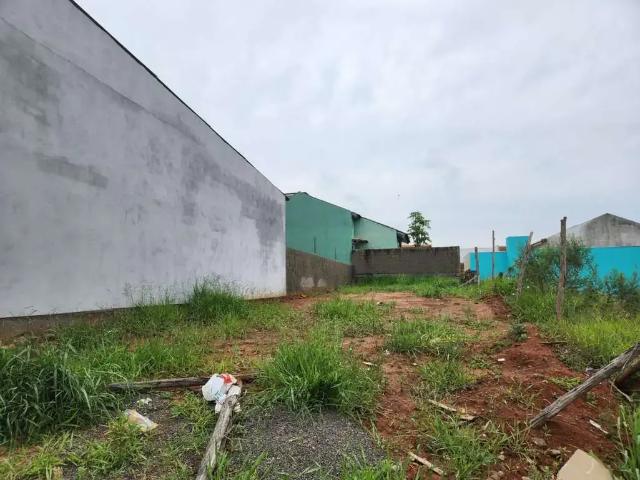 Terreno aluguel em Região Geográfica Imediata de Porto Alegre, Região Metropolitana de Porto Alegre