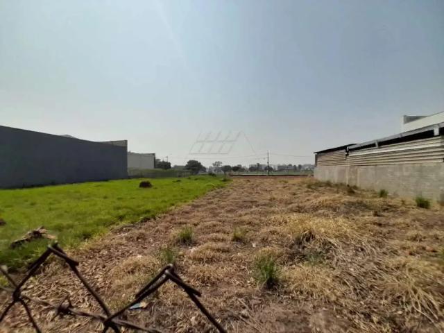 Terreno aluguel em Região Imediata de Campinas, Região Metropolitana de Campinas