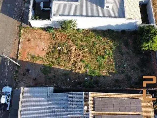 Terreno aluguel em Região Geográfica Imediata de Goiânia, Aparecida de Goiânia