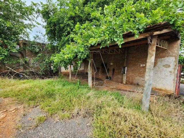Terreno aluguel em Região Imediata de Araçatuba, Araçatuba