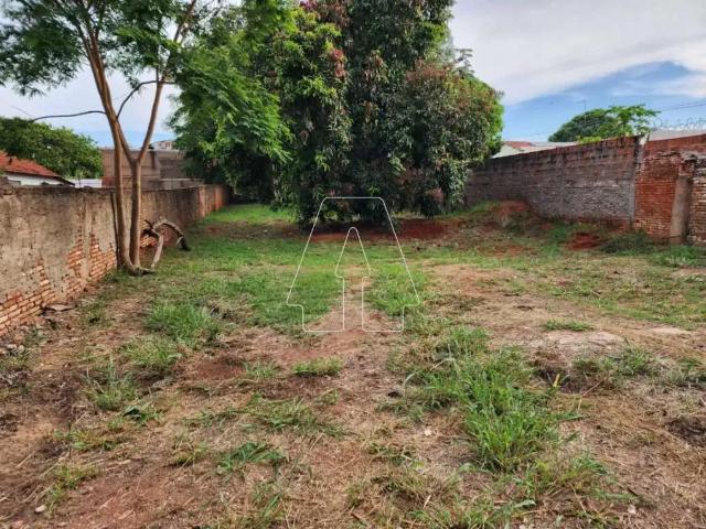 Terreno aluguel em Região Imediata de Araçatuba, Araçatuba