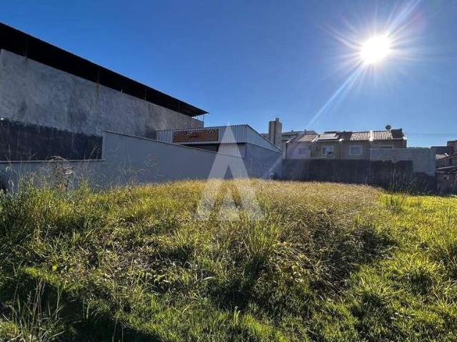 Terreno aluguel em Araquari