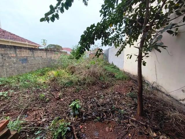 Terreno aluguel em Região Imediata de Araraquara, Araraquara