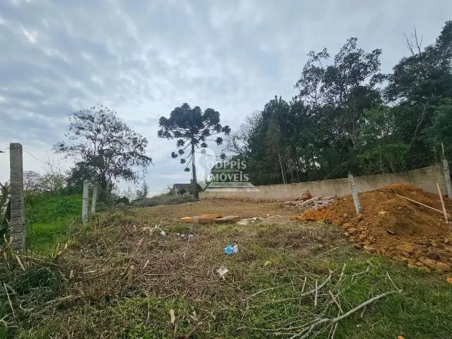 Terreno aluguel em Região Geográfica Imediata de Curitiba, Região Metropolitana de Curitiba