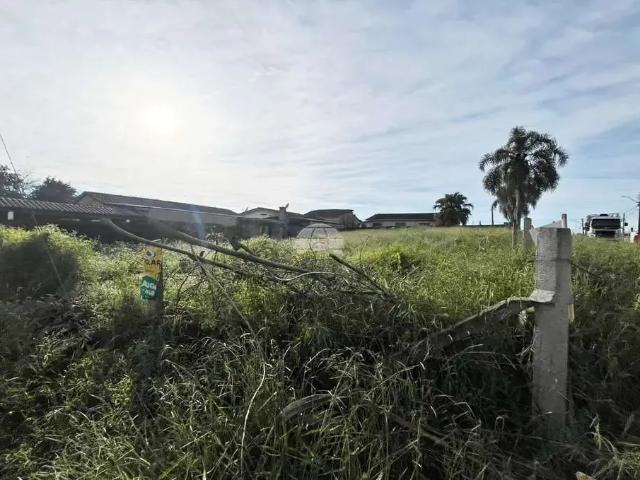 Terreno aluguel em Região Geográfica Imediata de Curitiba, Região Metropolitana de Curitiba