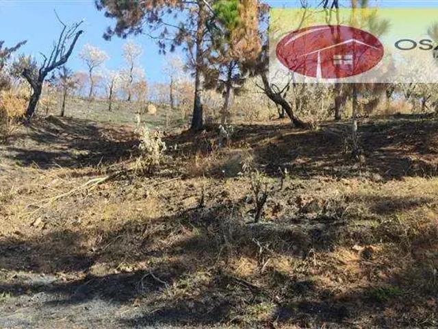 Terreno aluguel em Região Imediata de Bragança Paulista, Atibaia