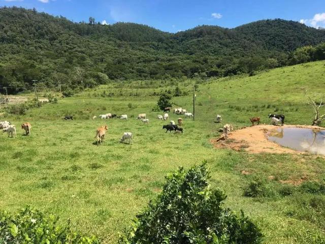 Terreno aluguel em Região Imediata de Bragança Paulista, Atibaia