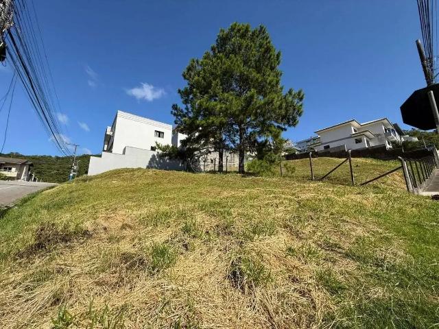 Terreno aluguel em Região Geográfica Imediata de Itajaí, Balneario Camboriú