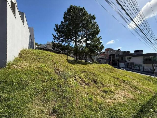 Terreno aluguel em Região Geográfica Imediata de Itajaí, Balneario Camboriú