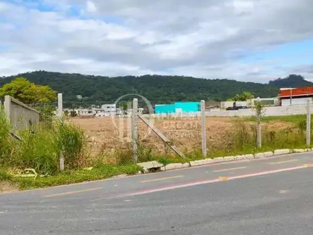 Terreno aluguel em Nova Esperança, Balneario Camboriú