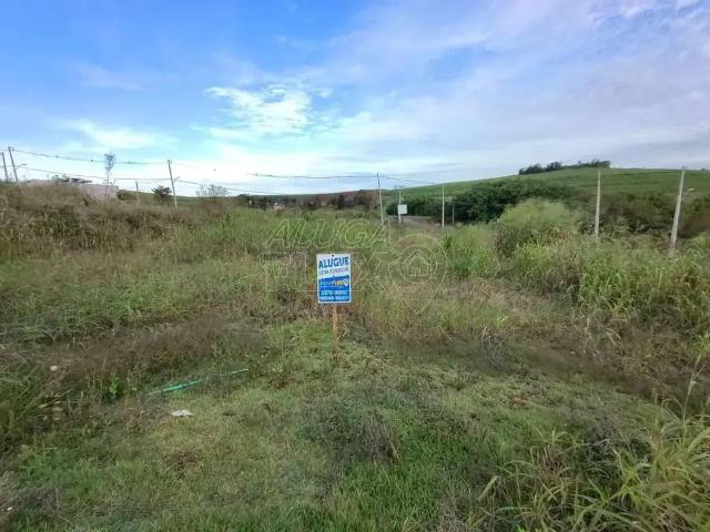 Terreno aluguel em Região Geográfica Imediata de Cornélio Procópio-Bandeirantes, Bandeirantes