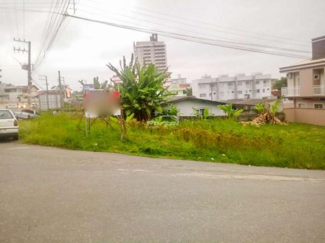 Terreno aluguel em Barra Velha, Itajuba