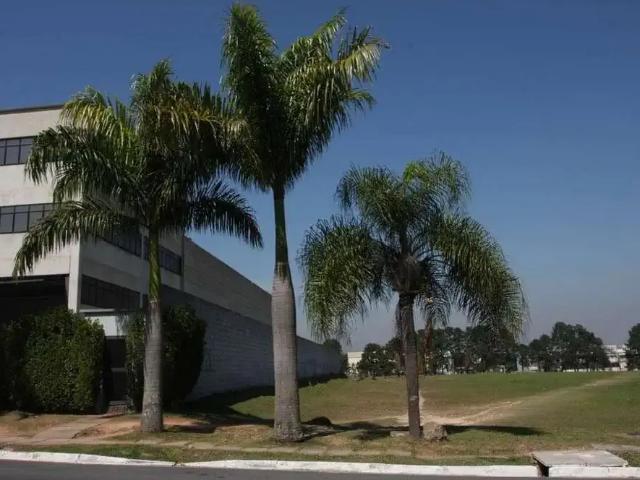 Terreno aluguel em Região Imediata de São Paulo, Região Metropolitana de São Paulo