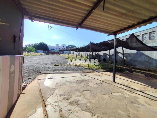 Terreno aluguel em Bauru, Região Geográfica Intermediária de Bauru
