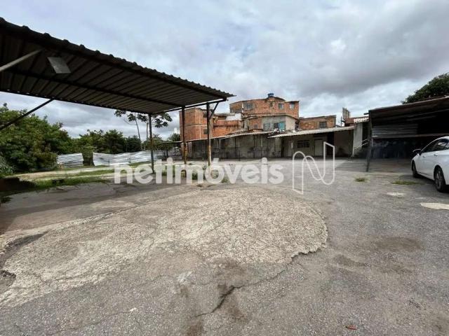 Terreno aluguel em Belo Horizonte, Nova Suíça
