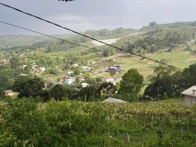 Terreno aluguel em Região Geográfica Imediata de Bento Gonçalves, Bento Gonçalves