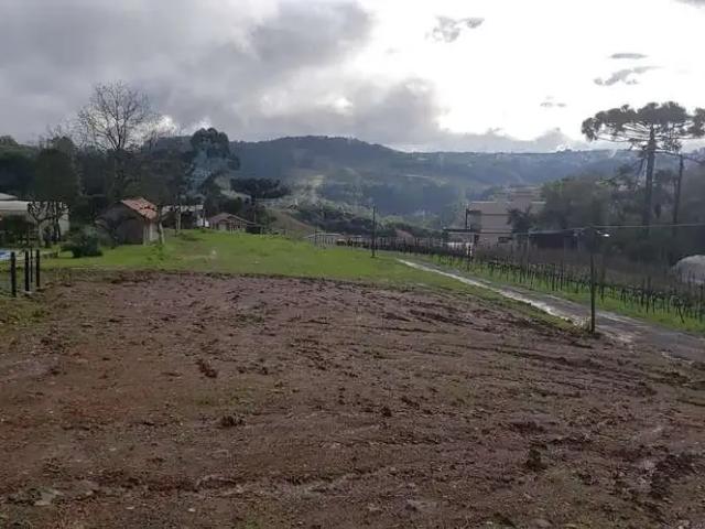 Terreno aluguel em Região Geográfica Imediata de Bento Gonçalves, Bento Gonçalves