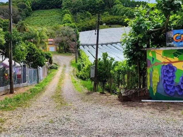 Terreno aluguel em Região Geográfica Imediata de Bento Gonçalves, Bento Gonçalves