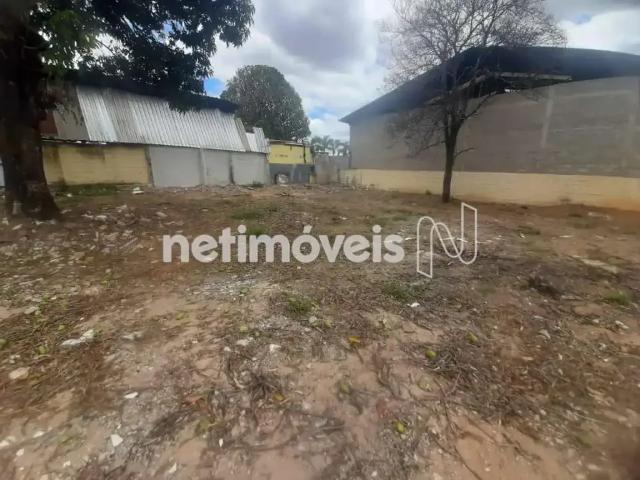 Terreno aluguel em Parque Betim Industrial, Betim