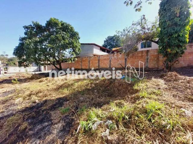 Terreno aluguel em Campos Elíseos, Betim