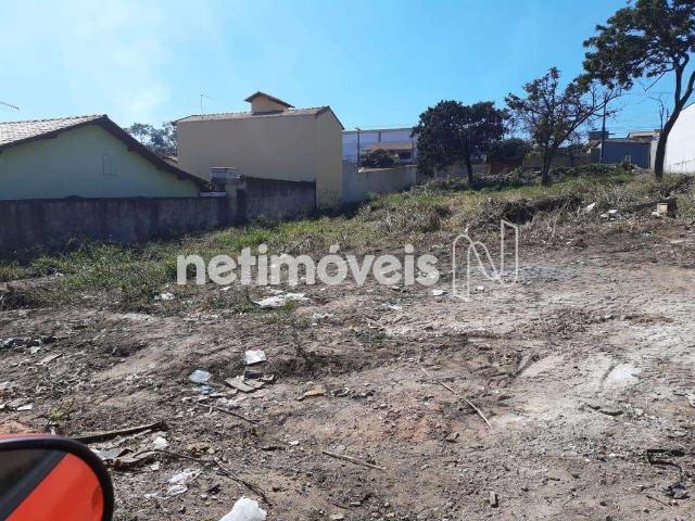 Terreno aluguel em Betim, São João