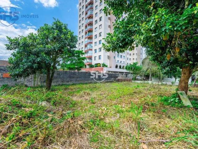Terreno aluguel em Região Geográfica Imediata de Blumenau, Blumenau