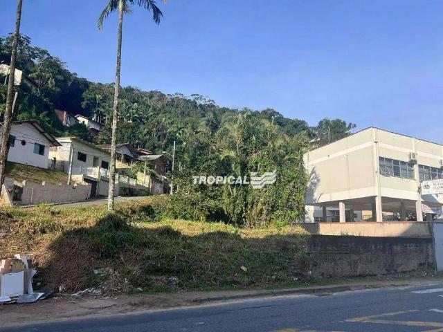 Terreno aluguel em Região Geográfica Imediata de Blumenau, Blumenau