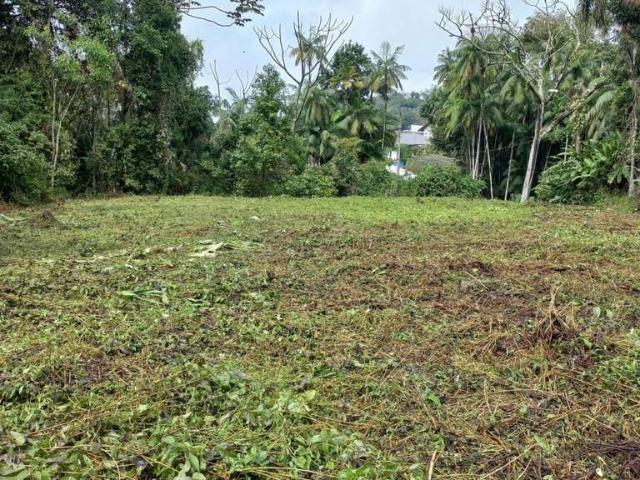 Terreno aluguel em Blumenau, Salto do Norte