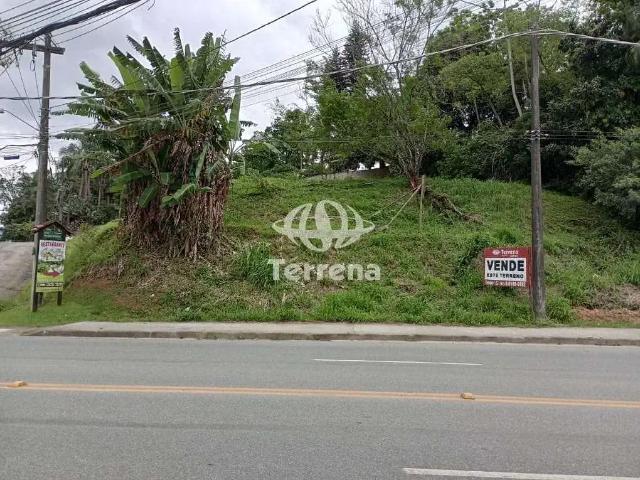 Terreno aluguel em Região Geográfica Imediata de Blumenau, Blumenau