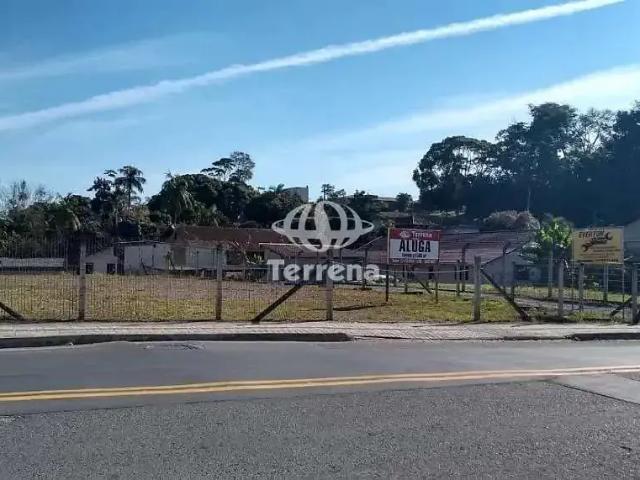 Terreno aluguel em Região Geográfica Imediata de Blumenau, Blumenau