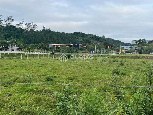 Terreno aluguel em Brusque, Subae