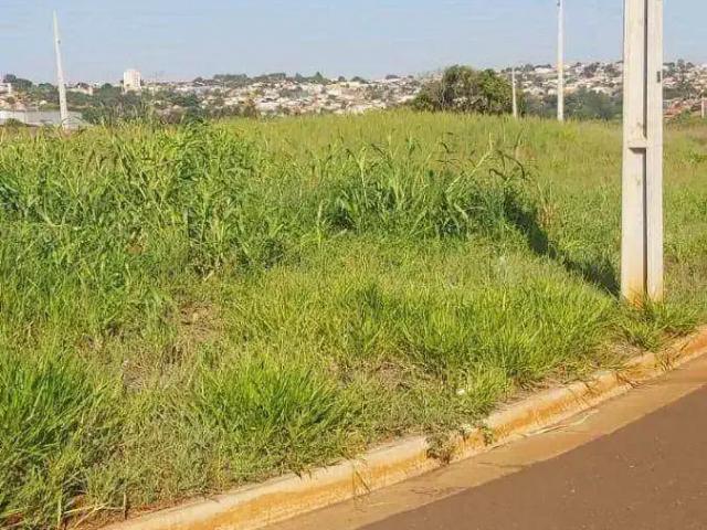 Terreno aluguel em Centro, Cambé