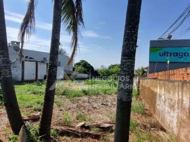 Terreno aluguel em Região Geográfica Imediata de Londrina, Cambé