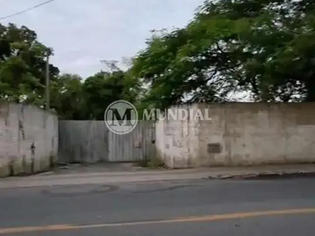 Terreno aluguel em Região Geográfica Imediata de Itajaí, Camboriú