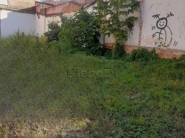 Terreno aluguel em Região Imediata de Campinas, Região Metropolitana de Campinas