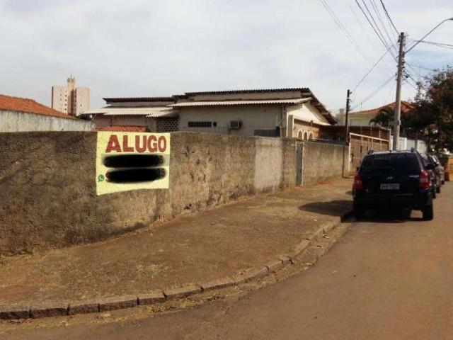 Terreno aluguel em Vila Itapura, Campinas