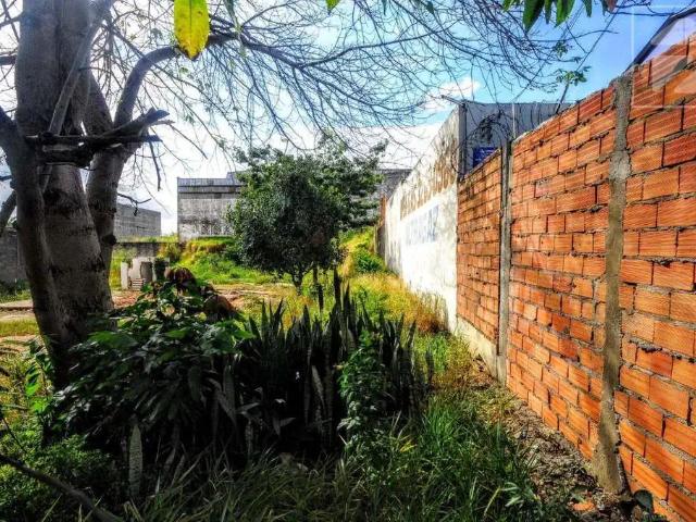 Terreno aluguel em Região Imediata de Campinas, Região Metropolitana de Campinas