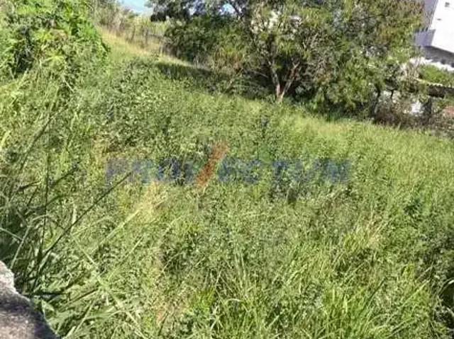 Terreno aluguel em Região Imediata de Campinas, Região Metropolitana de Campinas