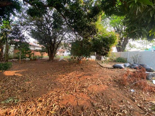 Terreno aluguel em Jardim Guanabara, Campinas