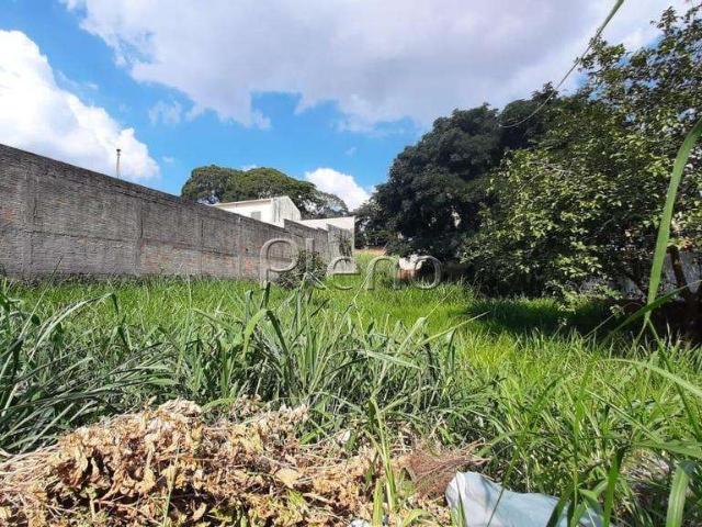 Terreno aluguel em Região Imediata de Campinas, Região Metropolitana de Campinas