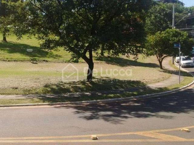 Terreno aluguel em Região Imediata de Campinas, Região Metropolitana de Campinas